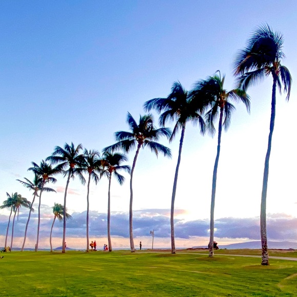 β₯ Welcome π€ Iβm JanΒΈΒΈ.β’*´¨`*β’.ΒΈβ
- Picture 1 of 2